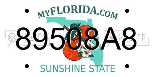 89508A8 Florida License Plate