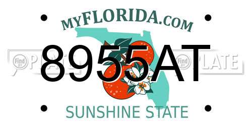 8955AT Florida License Plate