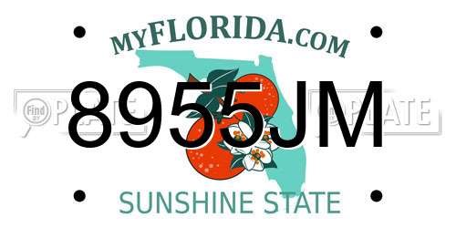 8955JM Florida License Plate