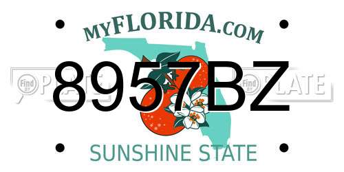 8957BZ Florida License Plate