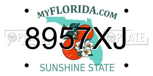 8957XJ Florida License Plate