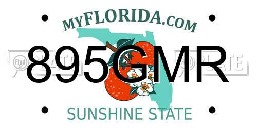 895GMR Florida License Plate