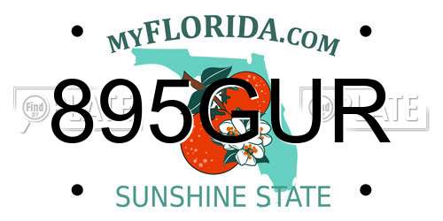 895GUR Florida License Plate