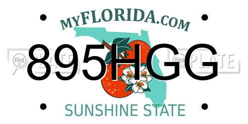 895HGG Florida License Plate