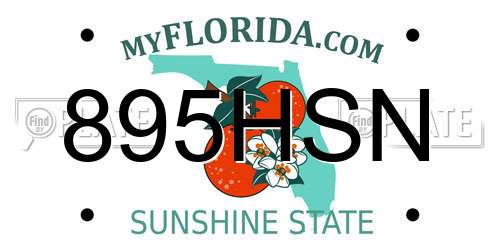 895HSN Florida License Plate