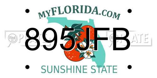 895JFB Florida License Plate