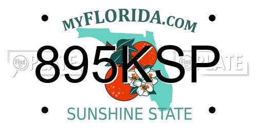 895KSP Florida License Plate