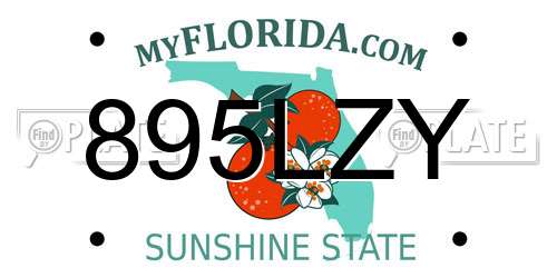 895LZY Florida License Plate