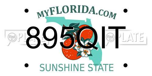 895QIT Florida License Plate