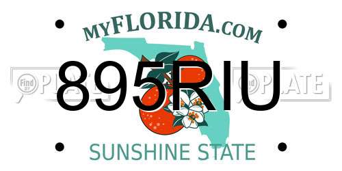 895RIU Florida License Plate