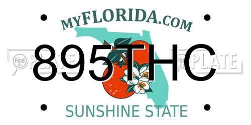 895THC Florida License Plate