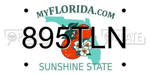 895TLN Florida License Plate