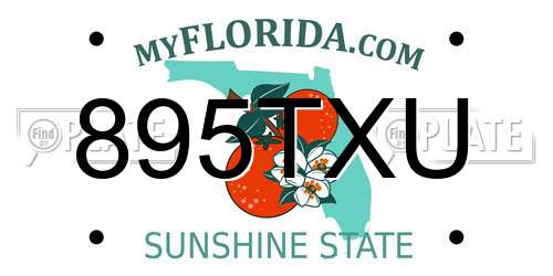 895TXU Florida License Plate