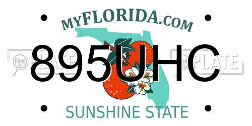 895UHC Florida License Plate