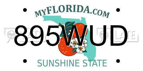 895WUD Florida License Plate