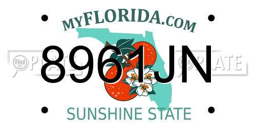 8961JN Florida License Plate