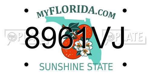 8961VJ Florida License Plate