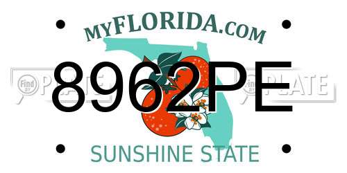 8962PE Florida License Plate