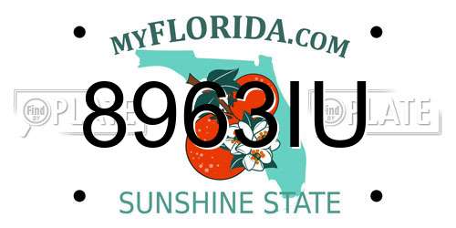 8963IU Florida License Plate