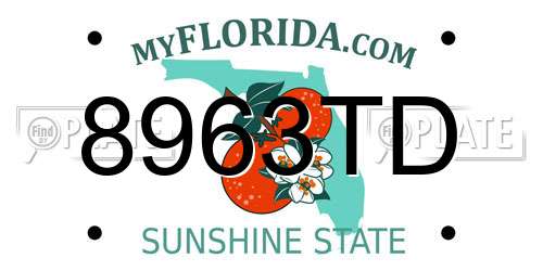 8963TD Florida License Plate
