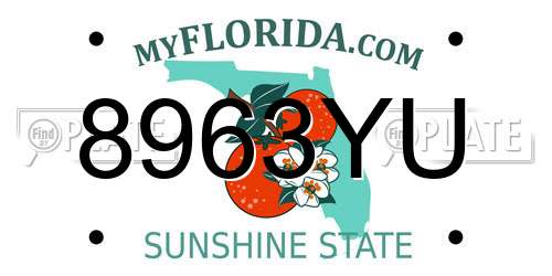 8963YU Florida License Plate