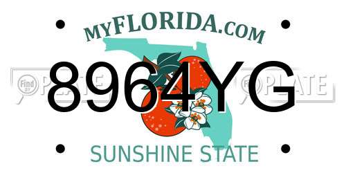 8964YG Florida License Plate