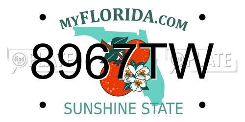 8967TW Florida License Plate