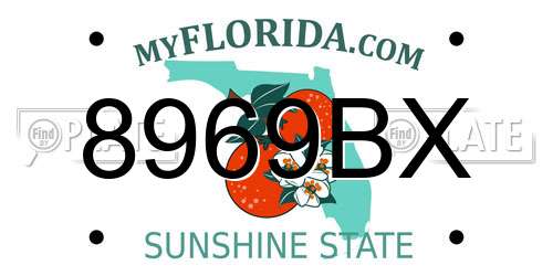 8969BX Florida License Plate