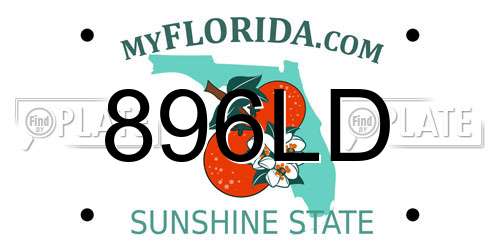 896LD Florida License Plate