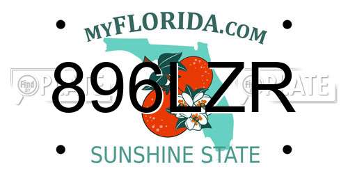 896LZR Florida License Plate