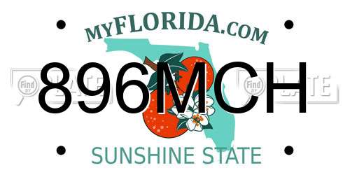 896MCH Florida License Plate