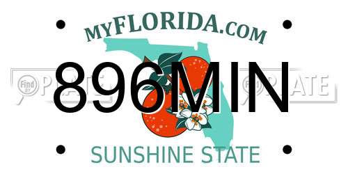 896MIN Florida License Plate