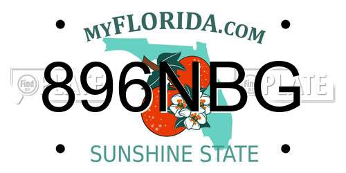 896NBG Florida License Plate