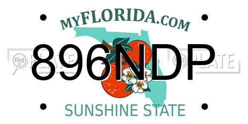 896NDP Florida License Plate