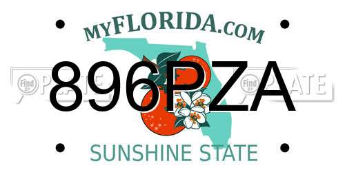 896PZA Florida License Plate