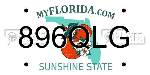 896QLG Florida License Plate