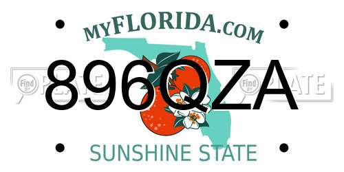896QZA Florida License Plate
