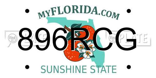 896RCG Florida License Plate