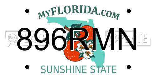 896RMN Florida License Plate
