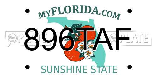 896TAF Florida License Plate