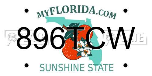 896TCW Florida License Plate