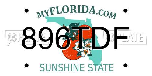 896TDF Florida License Plate