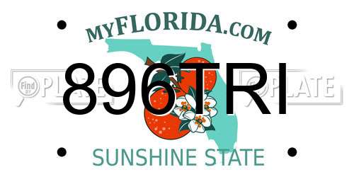 896TRI Florida License Plate
