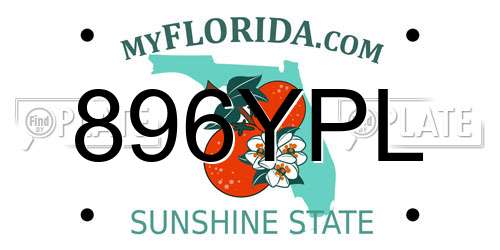 896YPL Florida License Plate