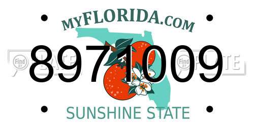8971009 Florida License Plate