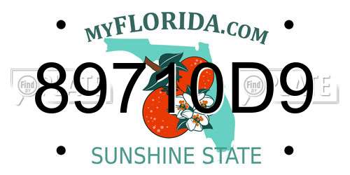 89710D9 Florida License Plate