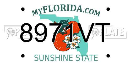 8971VT Florida License Plate