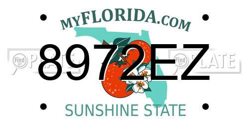 8972EZ Florida License Plate