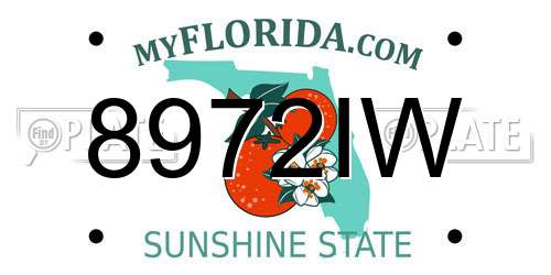 8972IW Florida License Plate