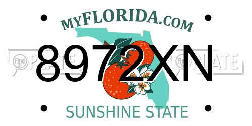 8972XN Florida License Plate